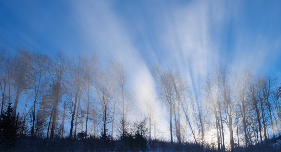 A New Dawn for Liberty